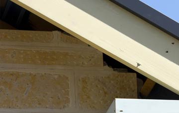 soffit repair Snead Common