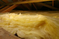 Snead Common pitch roof insulation